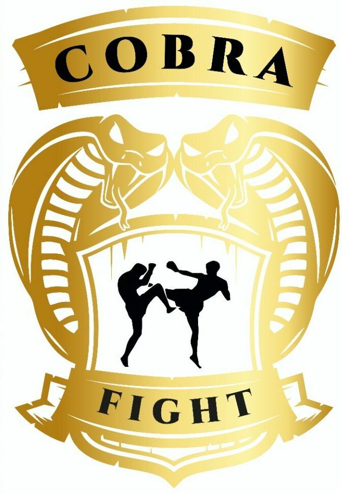 Boxe- Cobra Fight