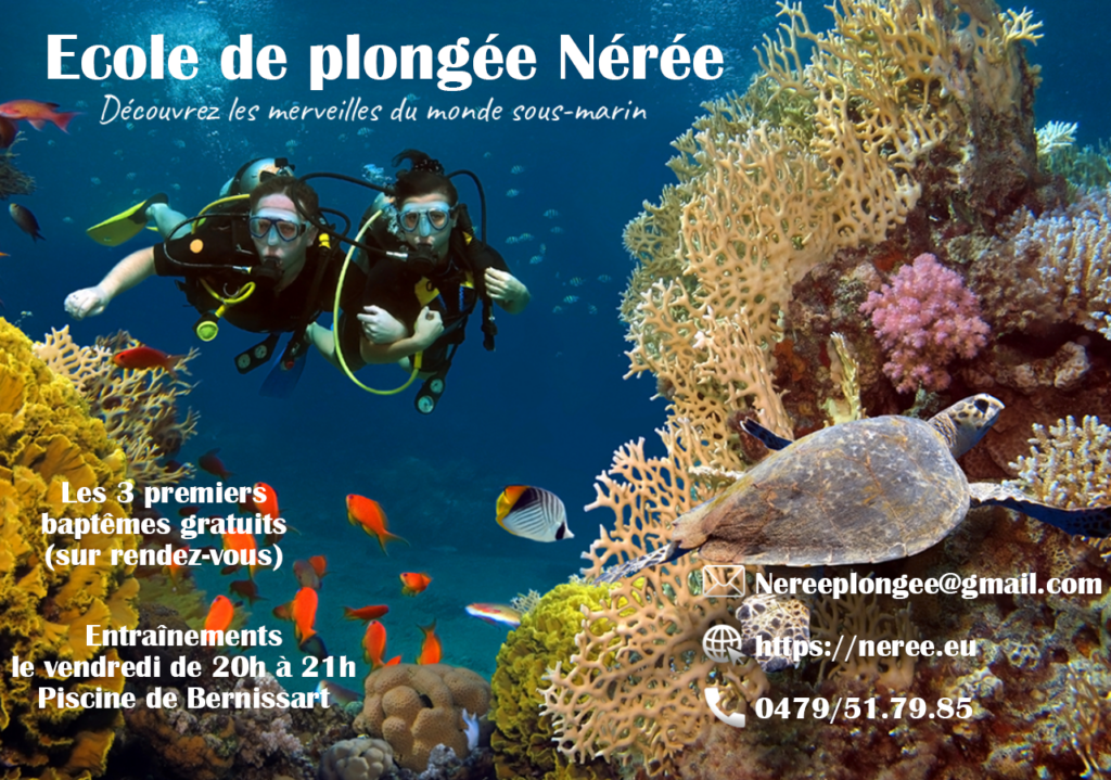 Plongée sous-marine - Nérée