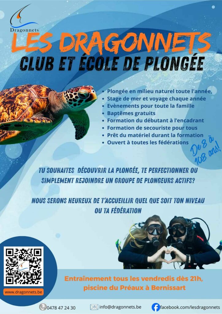 Plongée sous-marine - Dragonnets